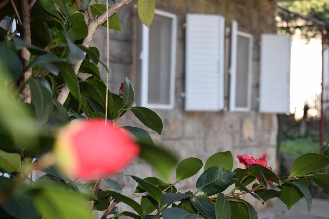 Old Town Studios Budva Buitenkant foto